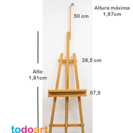 beech easel
