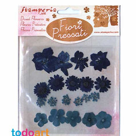 pressed dried flowers