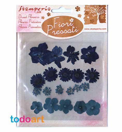 pressed dried flowers