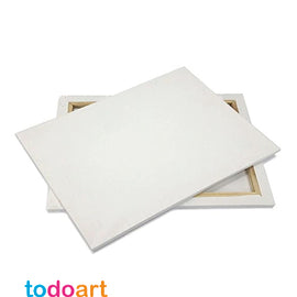 canvas fabric with frame
