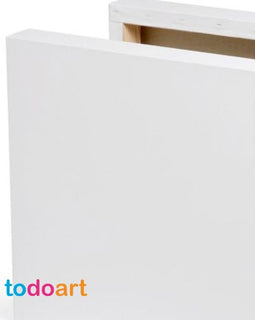 Canvas fabric with 3D frame