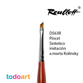 ds63r